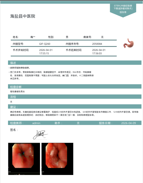 yoyolink AI GI Endoscopy System structured image-text report preview